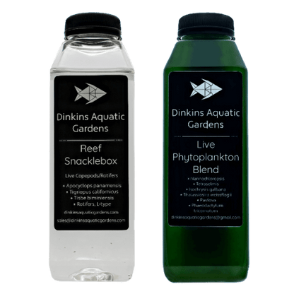 Snacklepack™ Combo - Reef Snacklebox™ + Live Phytoplankton - Dinkins Aquatic Gardens