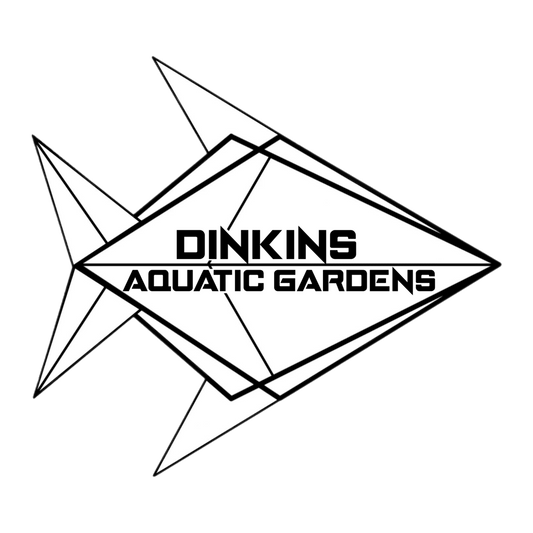 Snacklecash (Gift Card) - Dinkins Aquatic Gardens