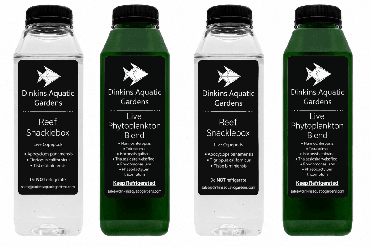 Snacklepack™ Combo - Reef Snacklebox™ Copepods + Live Phytoplankton - Dinkins Aquatic Gardens