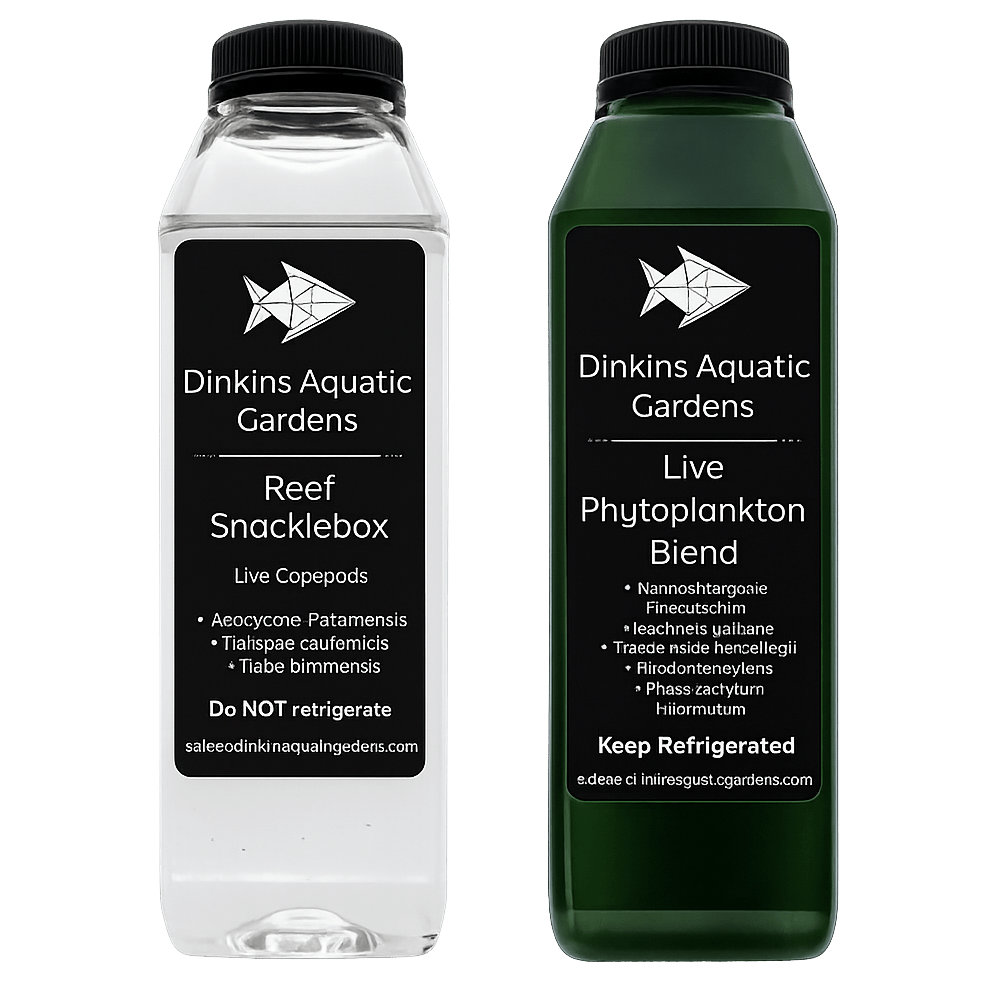 Snacklepack™ Combo - Reef Snacklebox™ Copepods + Live Phytoplankton - Dinkins Aquatic Gardens
