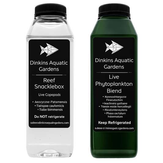 Snacklepack™ Combo - Reef Snacklebox™ Copepods + Live Phytoplankton - Dinkins Aquatic Gardens