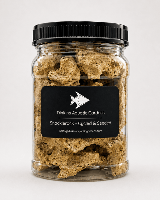 Snacklerock Rubble - Cycled & Seeded - Dinkins Aquatic Gardens