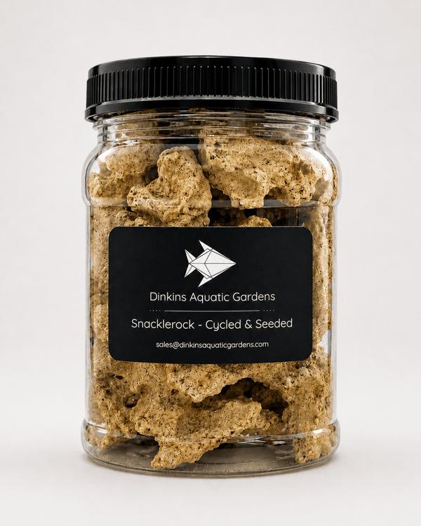 Snacklerock Rubble - Cycled & Seeded - Dinkins Aquatic Gardens