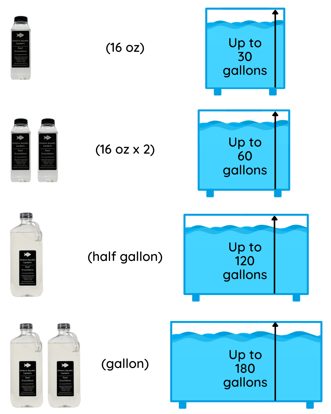 Snacklebox Sizing Guide